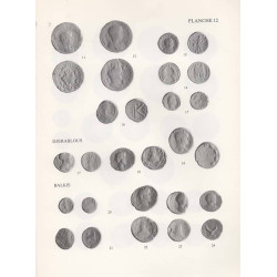 Doyen - Les monnaies antique du Tell Abou Danné et d’Oumm el-Marra