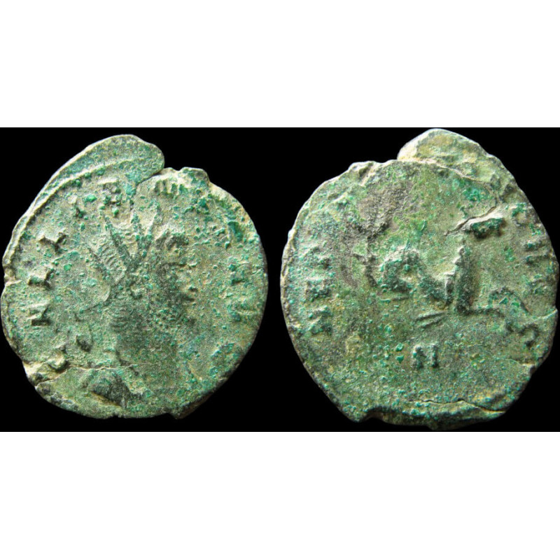 Gallien - Antoninien du bestiaire - Rare variante de Buste !