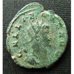 Gallien - Antoninien du bestiaire - Rare variante de Buste !