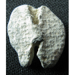 Byzantios (?) - Sceau byzantin en plomb (Ø 15 mm, 2,18 g). VIᵉ–VIIᵉ siècle