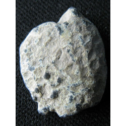 Théodotos. Sceau byzantin en plomb (Ø 14 mm, 2,89 g). VIᵉ siècle.