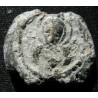 Sergios. Sceau byzantin en plomb (Ø 20 mm, 8,14 g). VIᵉ–VIIᵉ siècle.