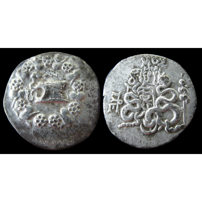Cistophore - Mysie, Pergame – Tétradrachme cistophorique – Cista mystica – SNG BN 1747-8