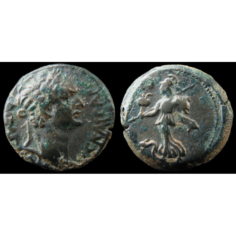 Domitien – Bronze provincial – Sidé (Pamphylie) – RPC II 1528