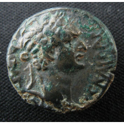 Domitien – Bronze provincial – Sidé (Pamphylie) – RPC II 1528