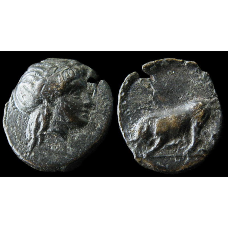 Mysie, Gambrion – Bronze – Apollon / Taureau – SNG Copenhagen 156