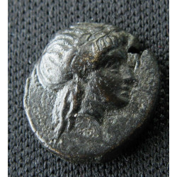 Mysie, Gambrion – Bronze – Apollon / Taureau – SNG Copenhagen 156