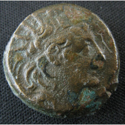 Rois Séleucides, Antiochos VIII Grypos – Bronze AE – Double corne d'abondance