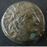 Rois Séleucides, Antiochos VIII Grypos – Bronze AE – Double corne d'abondance