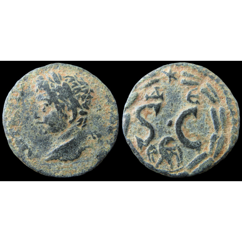 Élagabale – Bronze provincial frappé à Antioche – Aigle dans couronne – RPC VI, 8041