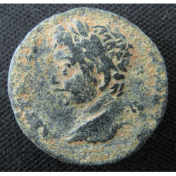 Élagabale – Bronze provincial frappé à Antioche – Aigle dans couronne – RPC VI, 8041
