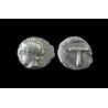 Tégée (Arcadie) – Tétartèmorion en argent – Tête d'Athéna / Grand T – ca 423–400 av. J.-C.