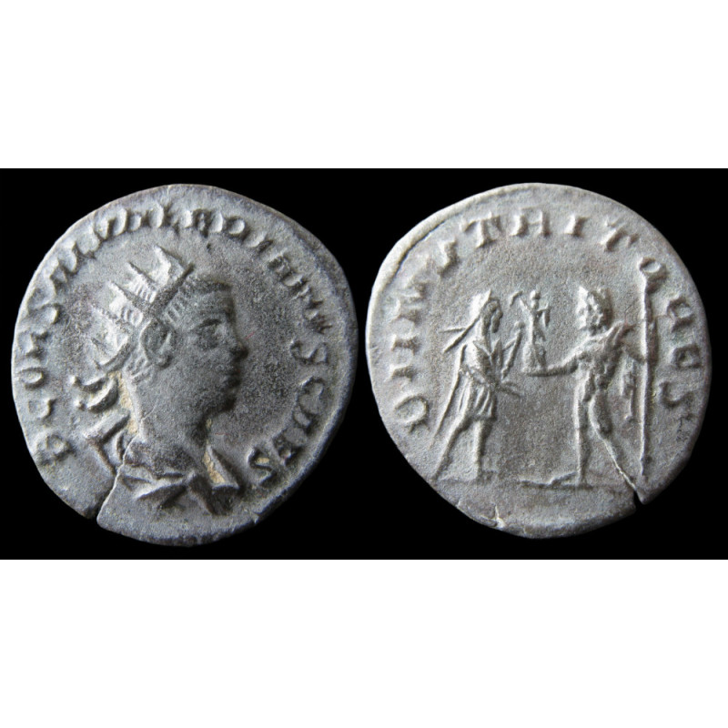 Salonin César – Antoninien frappé à Antioche – DII NVTRITORES – RIC 35