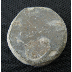 Poids monétaire de 1 drachme (?), Syrie du Nord — droit vierge (IVe-Ier siècle av. J.-C.)