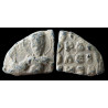 Basile, vestès et anthypatos (?). Sceau byzantin en plomb (Ø 15 mm, 4,63 g). XIᵉ siècle.