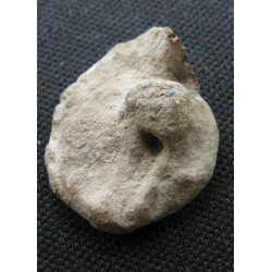 Théodore. Sceau byzantin en plomb - en latin - (Ø 13 mm, 2,88 g). Vᵉ siècle.