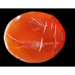 Intaille romaine en cornaline – Papillon et capsule de pavot – Ier-IIe siècle ap. J.-C.