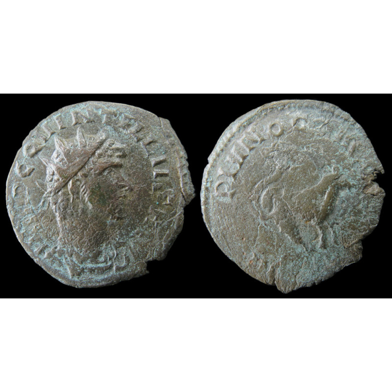 Quintille / Gallien – Antoninien hybride –  NEPTVNO CONS AVG – Non répertorié