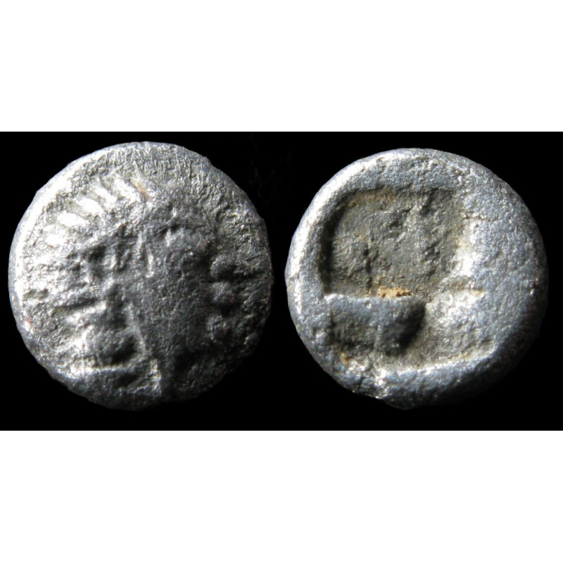 Kolophon (Ionie) – Hémiobole – Tête d'Apollon archaïque – v. 530/525–500 av. J.-C.