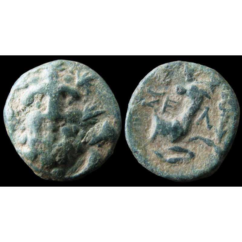 Selge (Pisidie) – Bronze – Héraklès de face – Avant-train de cerf – Sear 5489 – v. 100 av. J.-C.