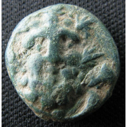 Selge (Pisidie) – Bronze – Héraklès de face – Avant-train de cerf – Sear 5489 – v. 100 av. J.-C.