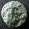 Selge (Pisidie) – Bronze – Héraklès de face – Avant-train de cerf – Sear 5489 – v. 100 av. J.-C.