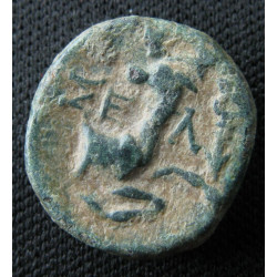 Selge (Pisidie) – Bronze – Héraklès de face – Avant-train de cerf – Sear 5489 – v. 100 av. J.-C.