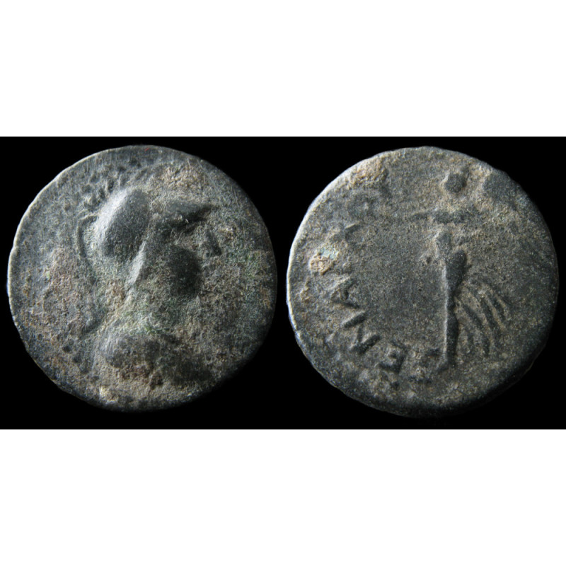 Séleucie du Calycadnos – Bronze frappé à Séleucie du Calycadnos – ΞΕΝΑΡΧΟΥ – SNG BN 948-950