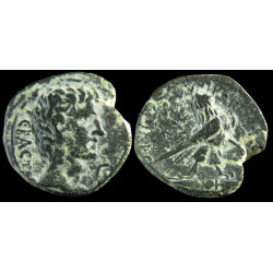 Auguste – Bronze provincial...