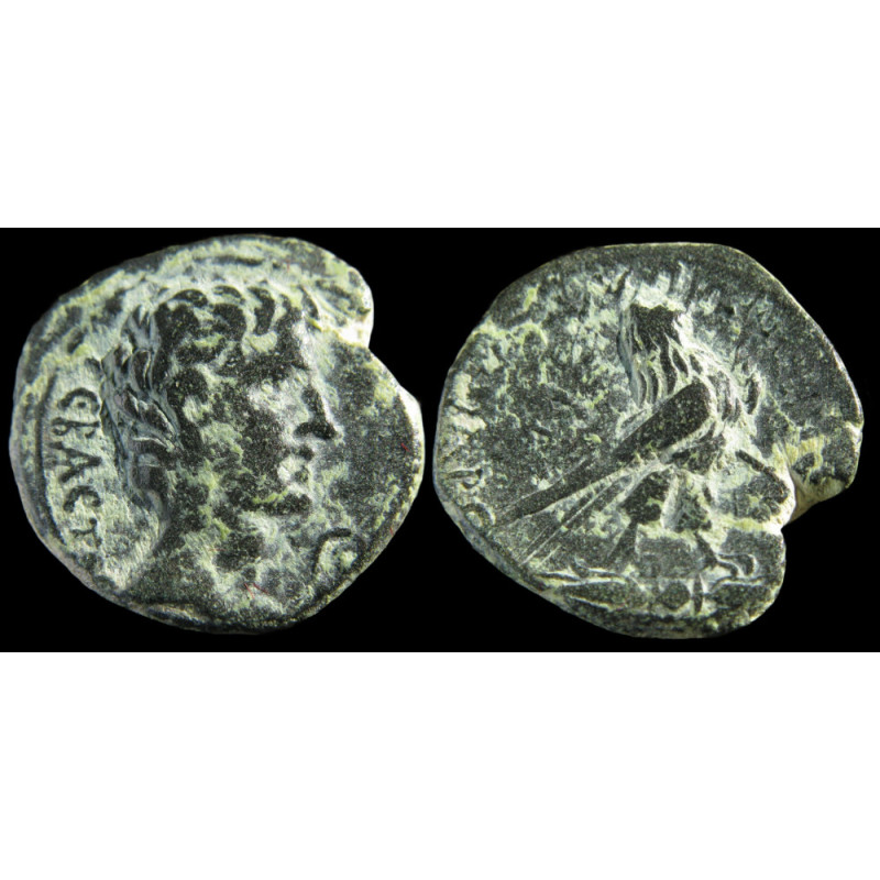 Auguste – Bronze provincial d'Amorion (Phrygie) – RPC I 3233